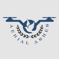 aerialashes