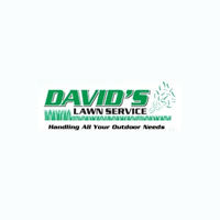 davidslawn